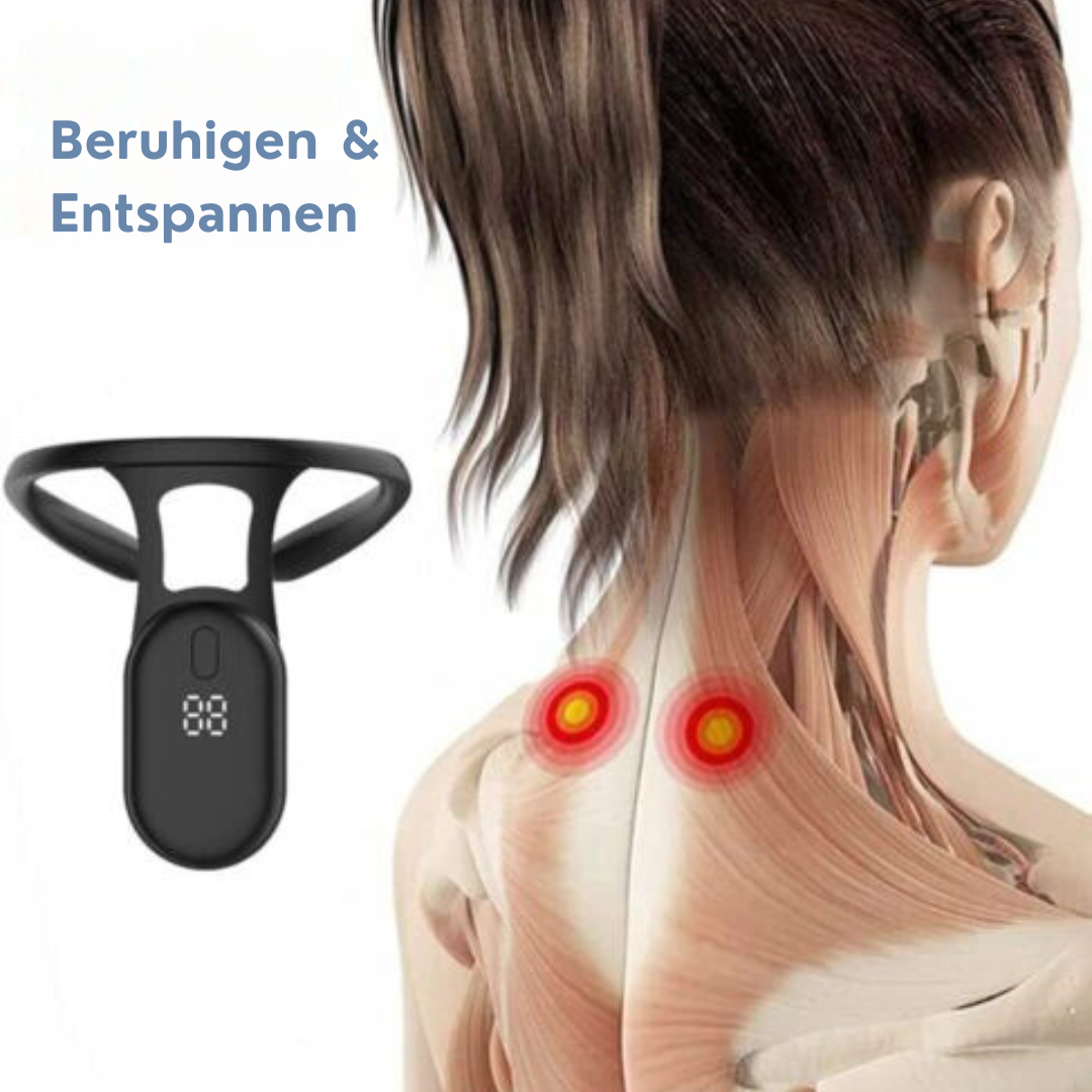 Spine Wellness Protection